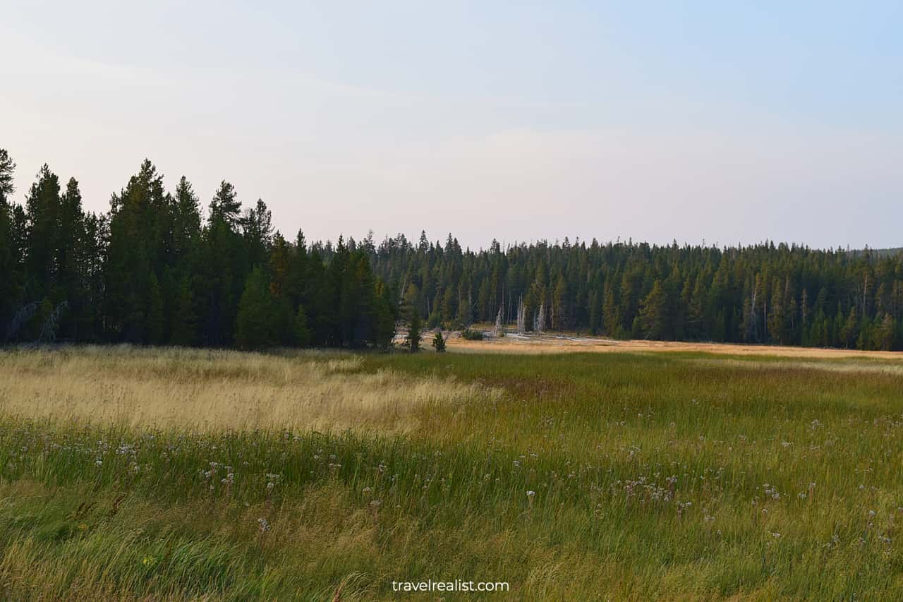 Meadows at Old Faithful Area in Yellowstone National Park, Wyoming, US