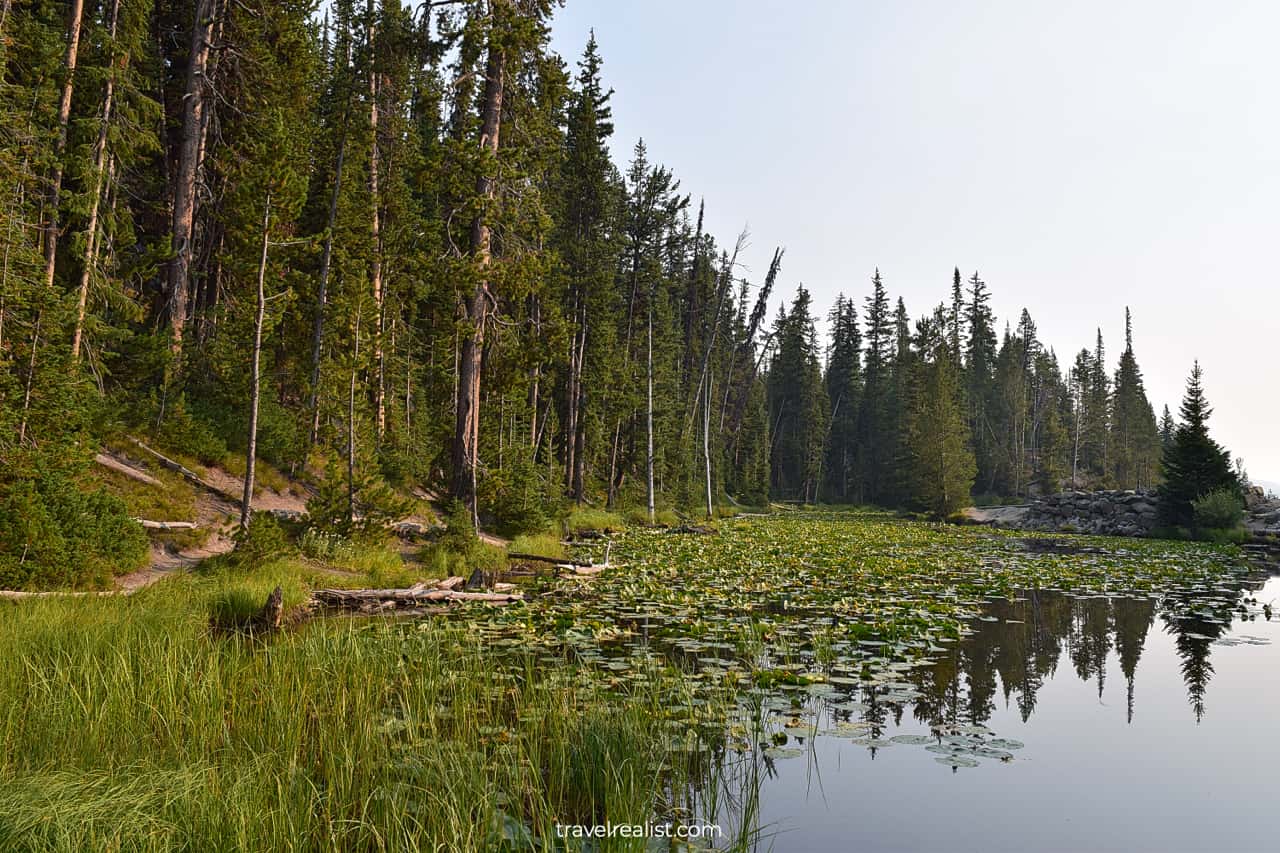 Isa Lake reflections in Yellowstone National Park, Wyoming, US