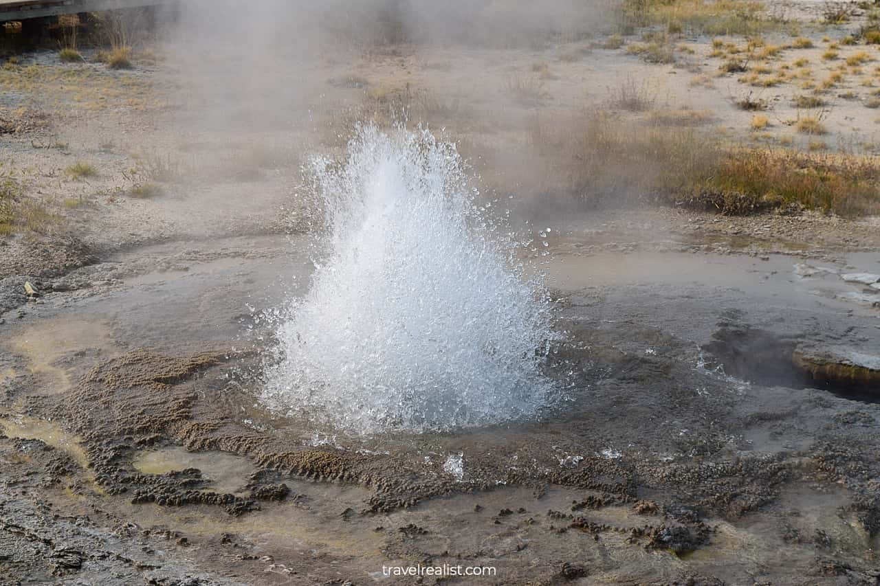 Small geyser erupting at Black Sand Basin in Yellowstone National Park, Wyoming, US
