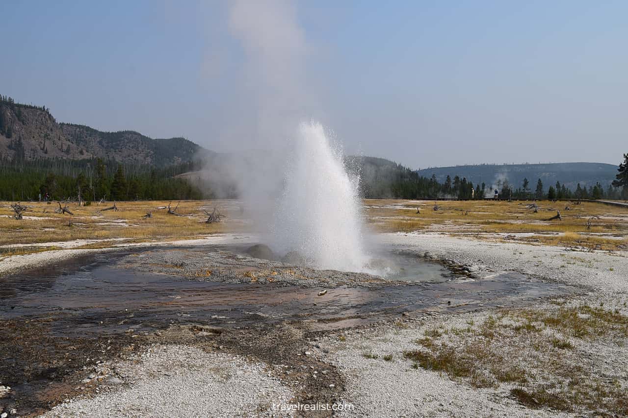 Jewel Geysir eruption at Biscuit Basin in Yellowstone National Park, Wyoming, US